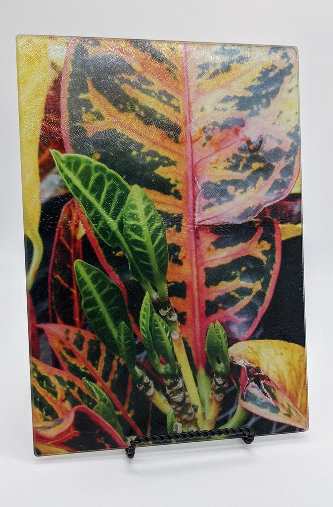rectangular cutting board with Photograph of center of a leafy plant. In the center, the leaves are bright green new growths. Surrounding it are large leaves that have red and yellow veins and edges of the dark green leaves
