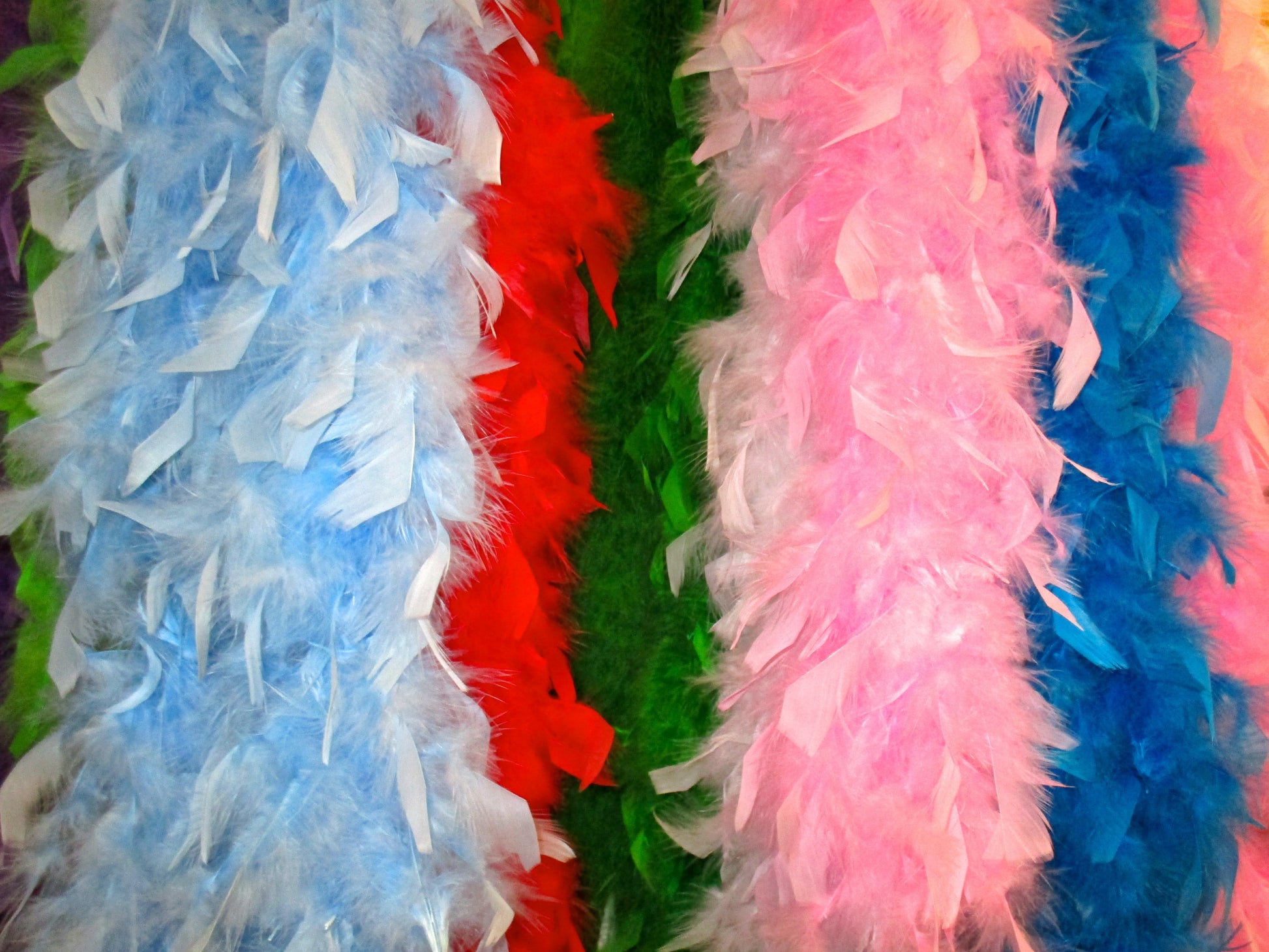 Fluffy Feathers Photography by Bailey Ferguson