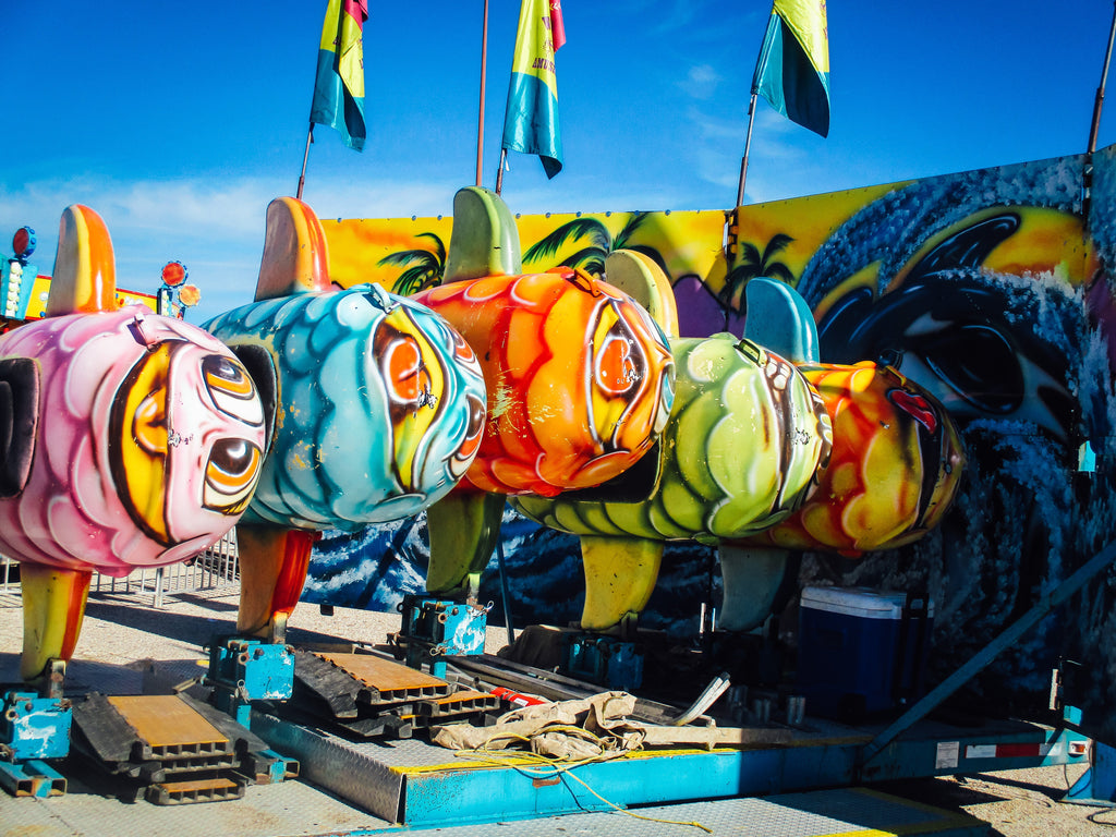 A Rainbow of Fish Photography by Ellen Reichenthal