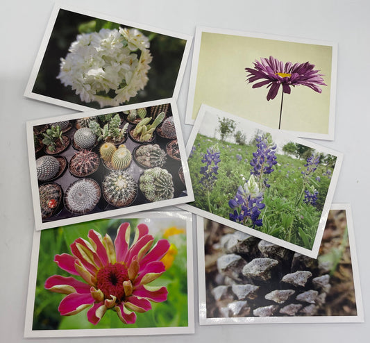 Botanical variety pack Graphic Cards