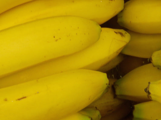 Yellow Stared Bananas Photography by Ian Spindler