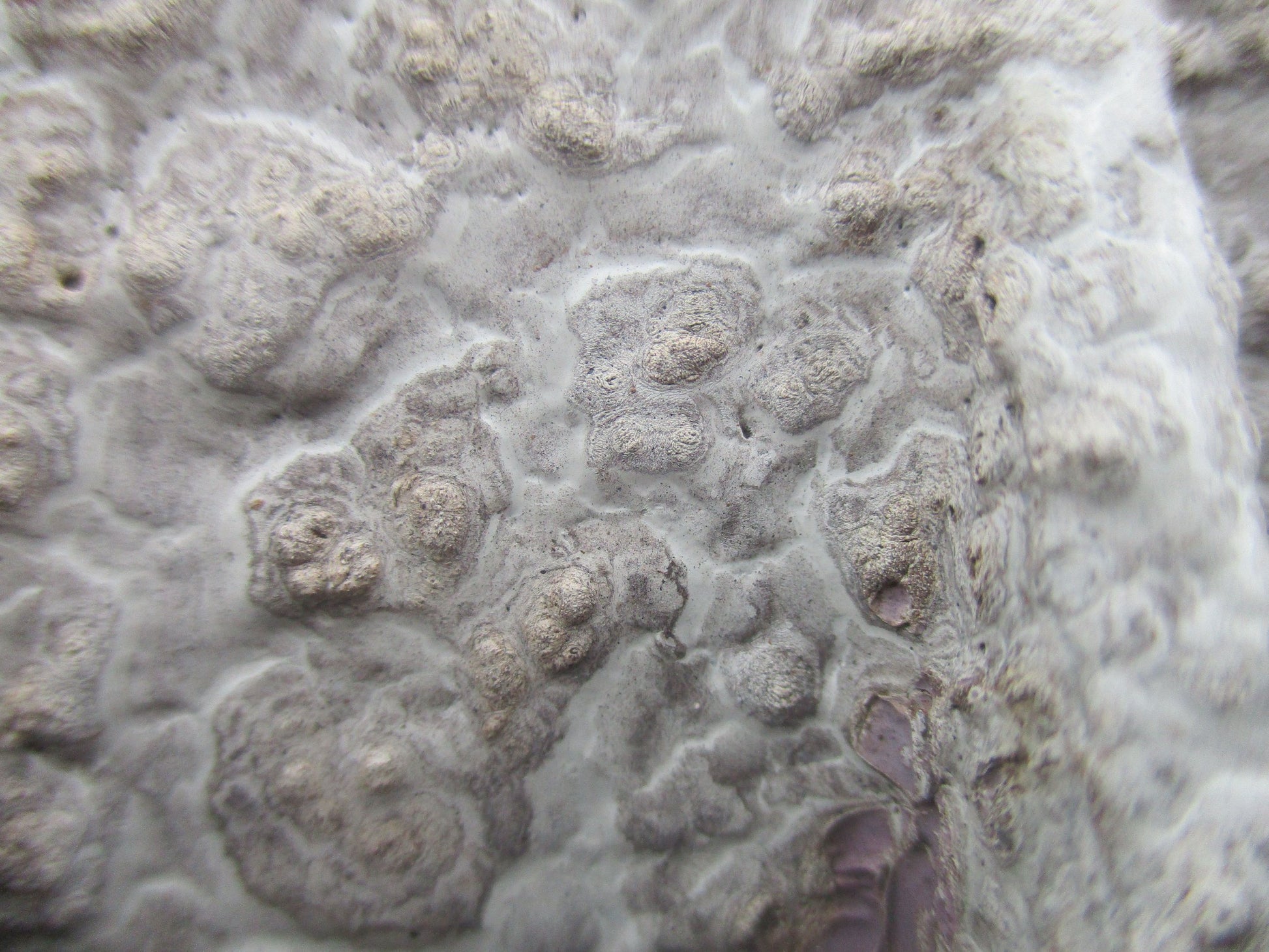 Photograph of a close up of a weathered white painted bubbly texture