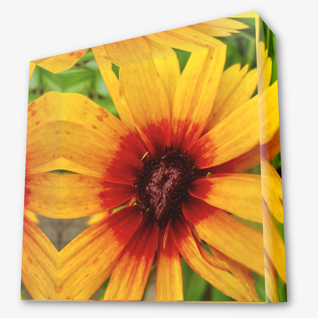 This is another angle of the acrylic square block with a photo of a yellow flower with a red center