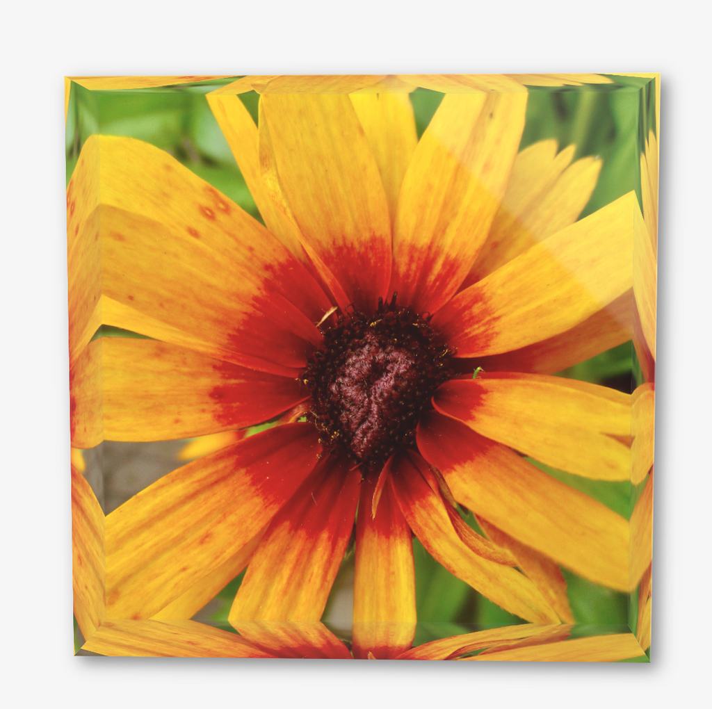 This is an acrylic square block with a photo of a yellow flower with a red center
