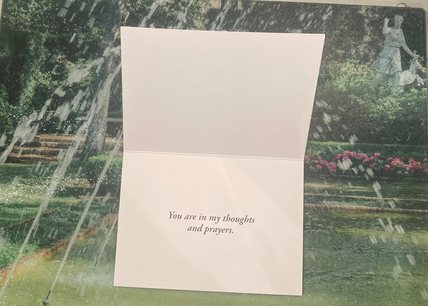 Sympathy 6-pack Graphic Cards w/ message inside ~"You are in my thoughts and prayers"