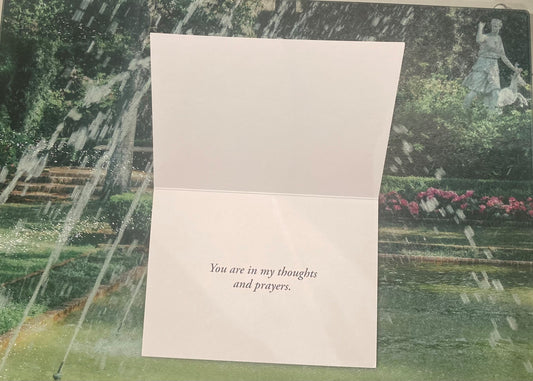 Sympathy 6-pack Graphic Cards w/ message inside ~"You are in my thoughts and prayers"